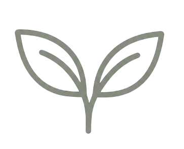 planta removebg preview